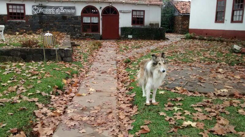 Fazenda Do Barreiro Hotel อูรูเปมา ภายนอก รูปภาพ